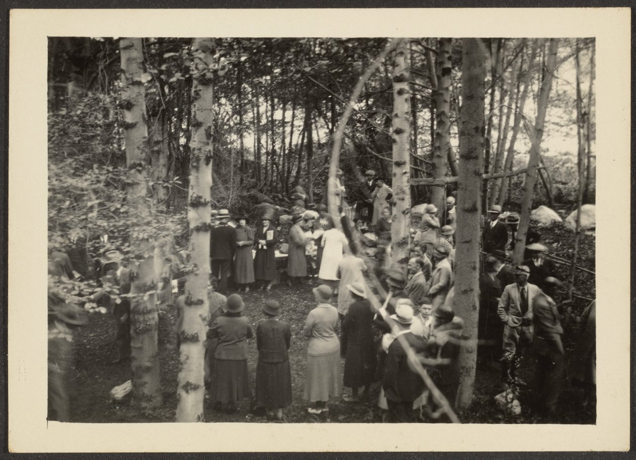 [Group in the Woods] av Louis Fleckenstein