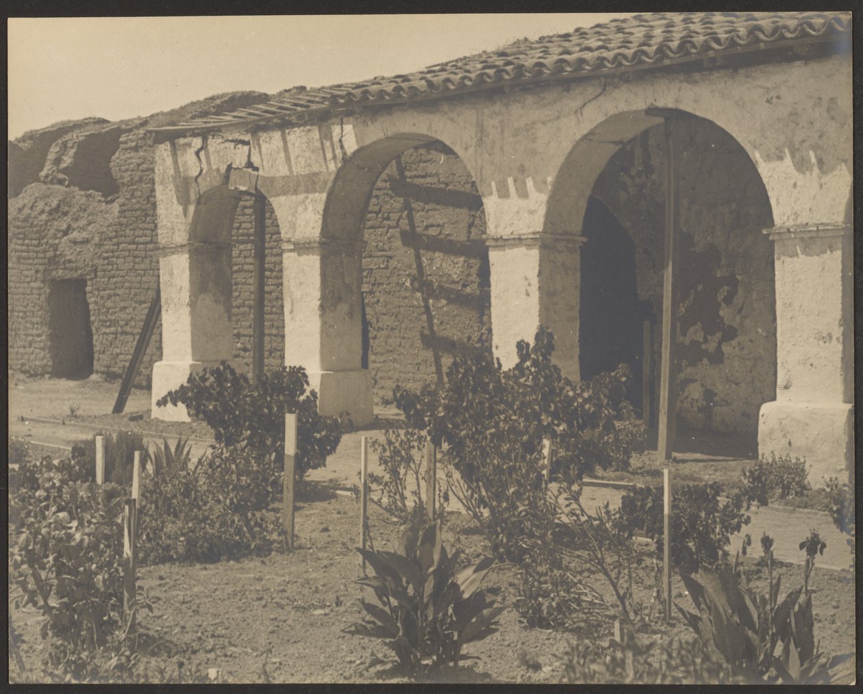 [Mission Garden] av Louis Fleckenstein