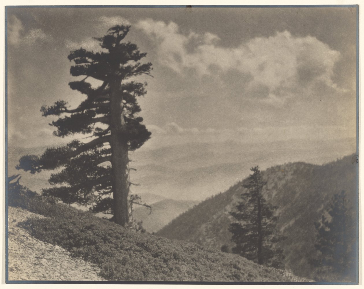 [På åsen till Old Baldy] av Louis Fleckenstein