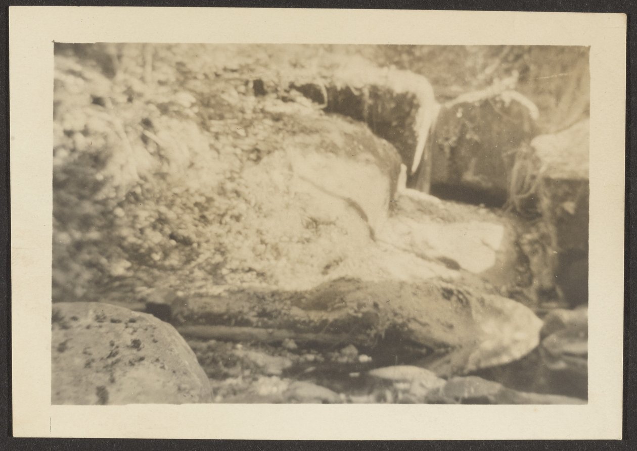 [Rocky Landscape] av Louis Fleckenstein