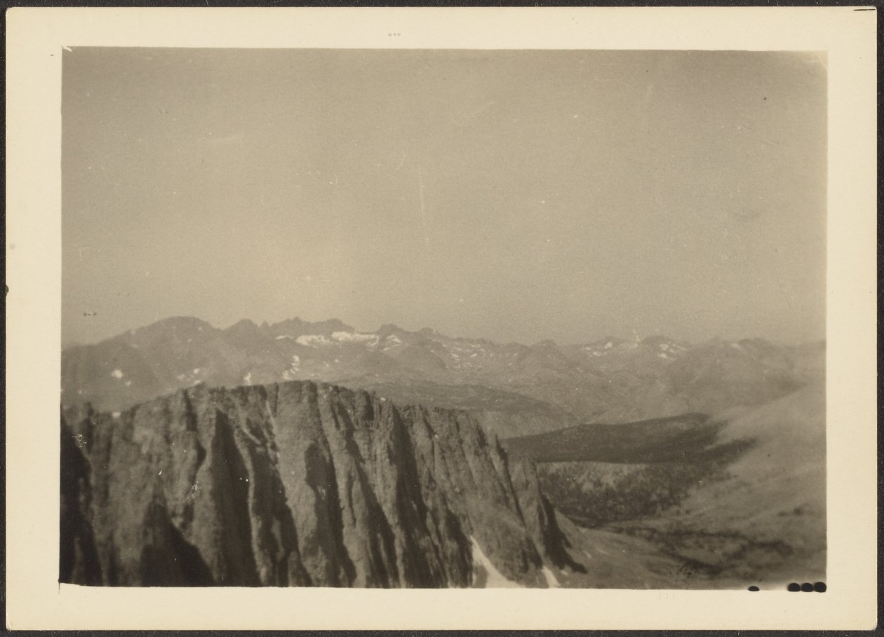 [Sequoia Park] av Louis Fleckenstein