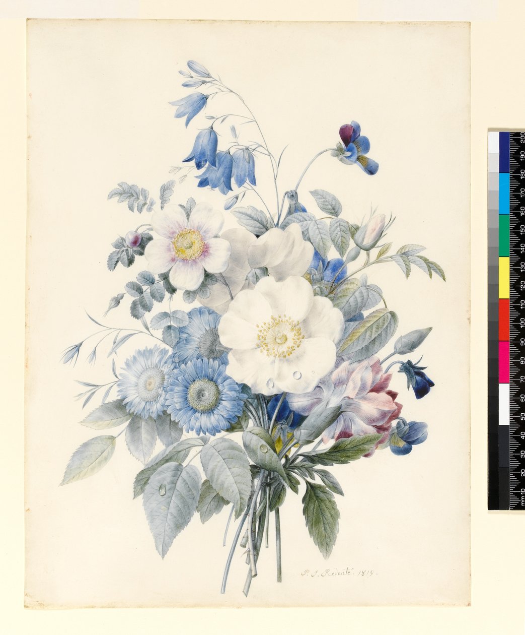 PD.847-1973 A Spray of Summer Flowers, 1820 (wc och gouache på veläng) av Louise DOrleans
