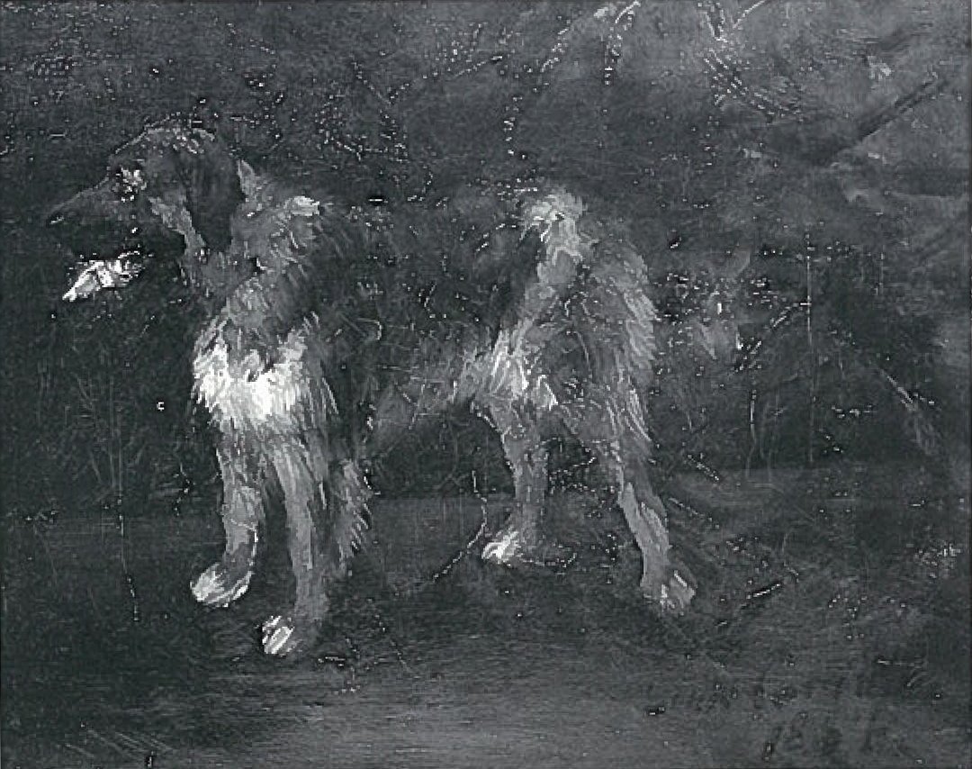  Hundestudien av Lovis Corinth