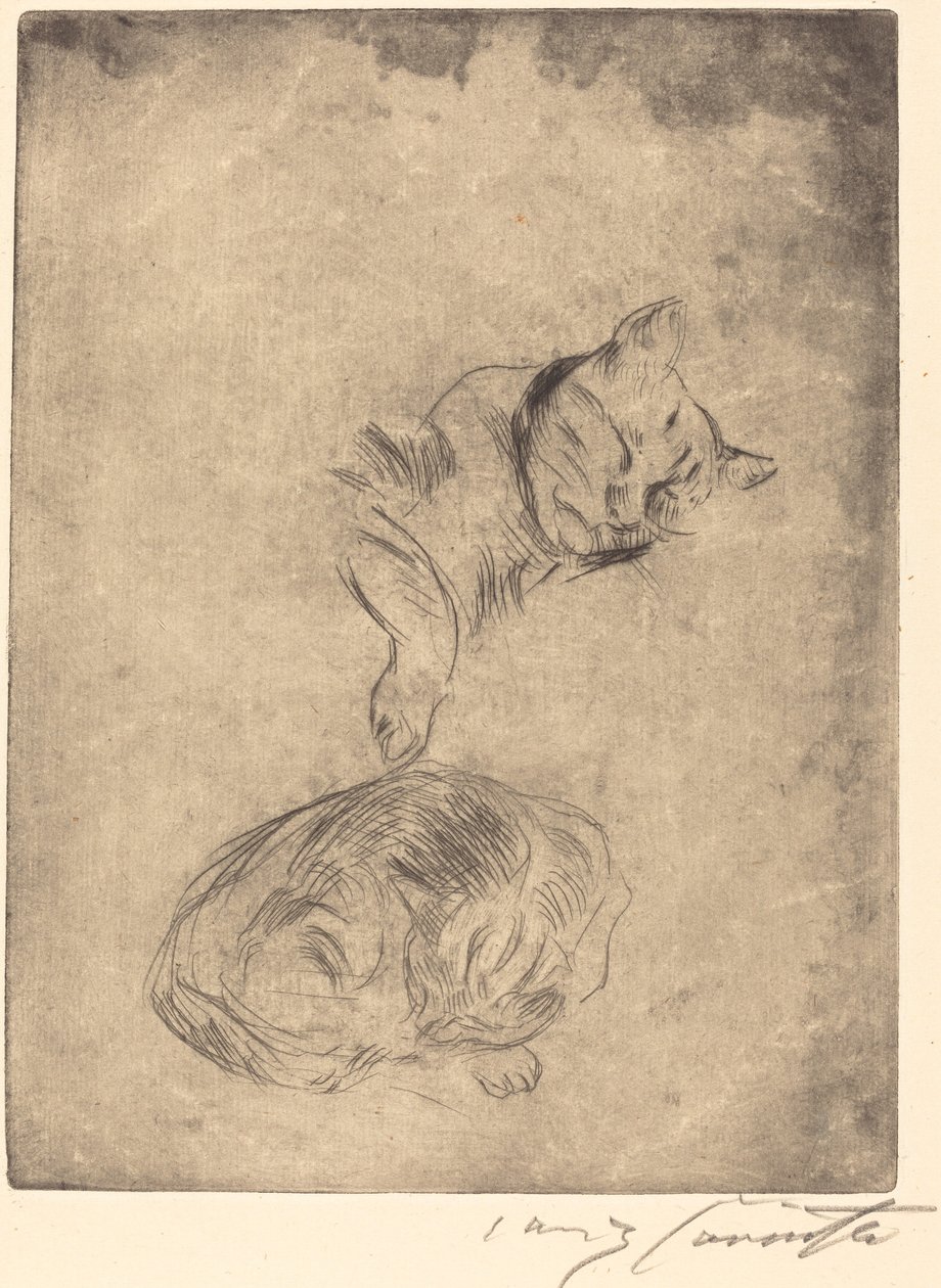 Katzenstudie (studie av katter) av Lovis Corinth