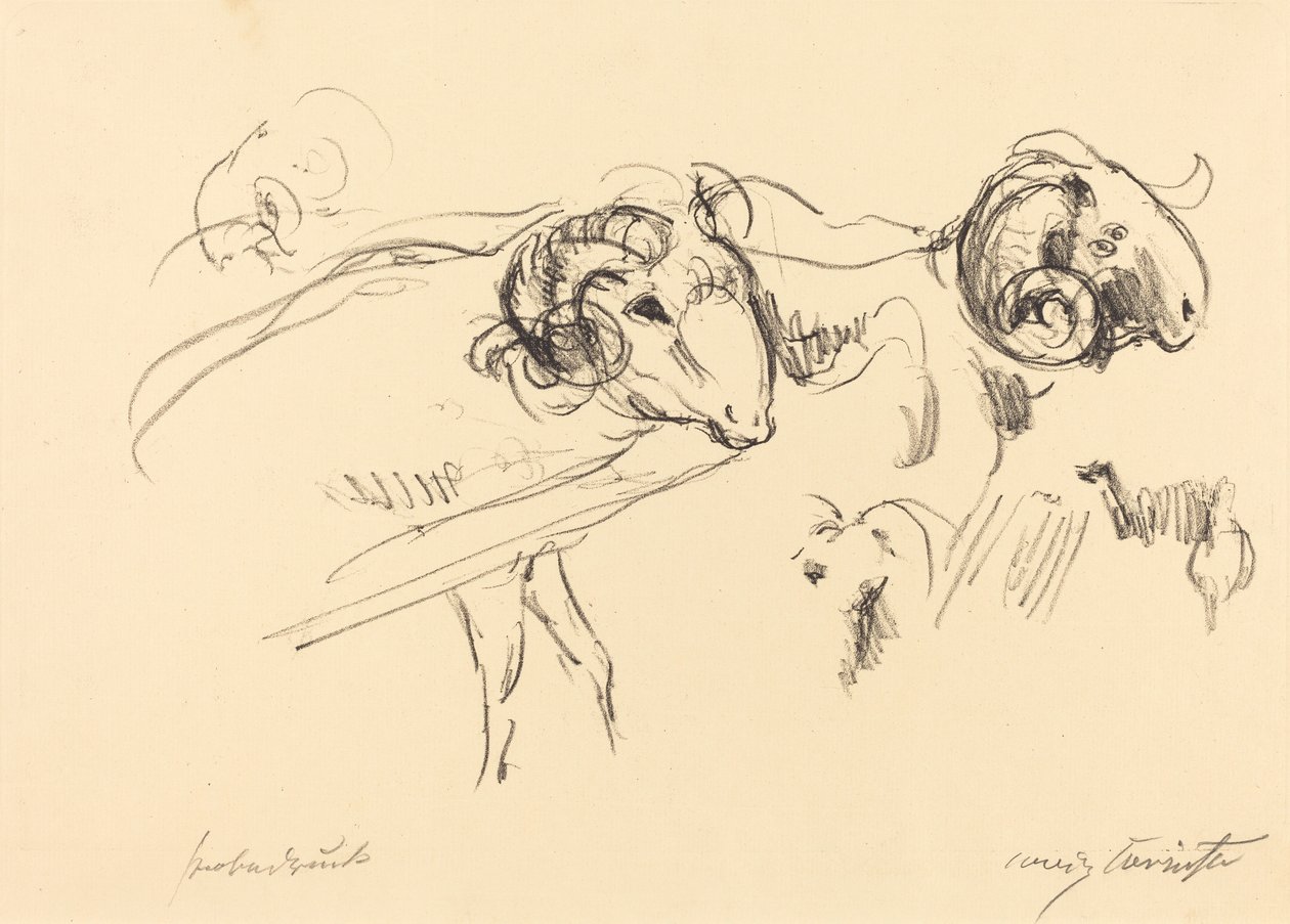 Schafböcke (Rams) av Lovis Corinth