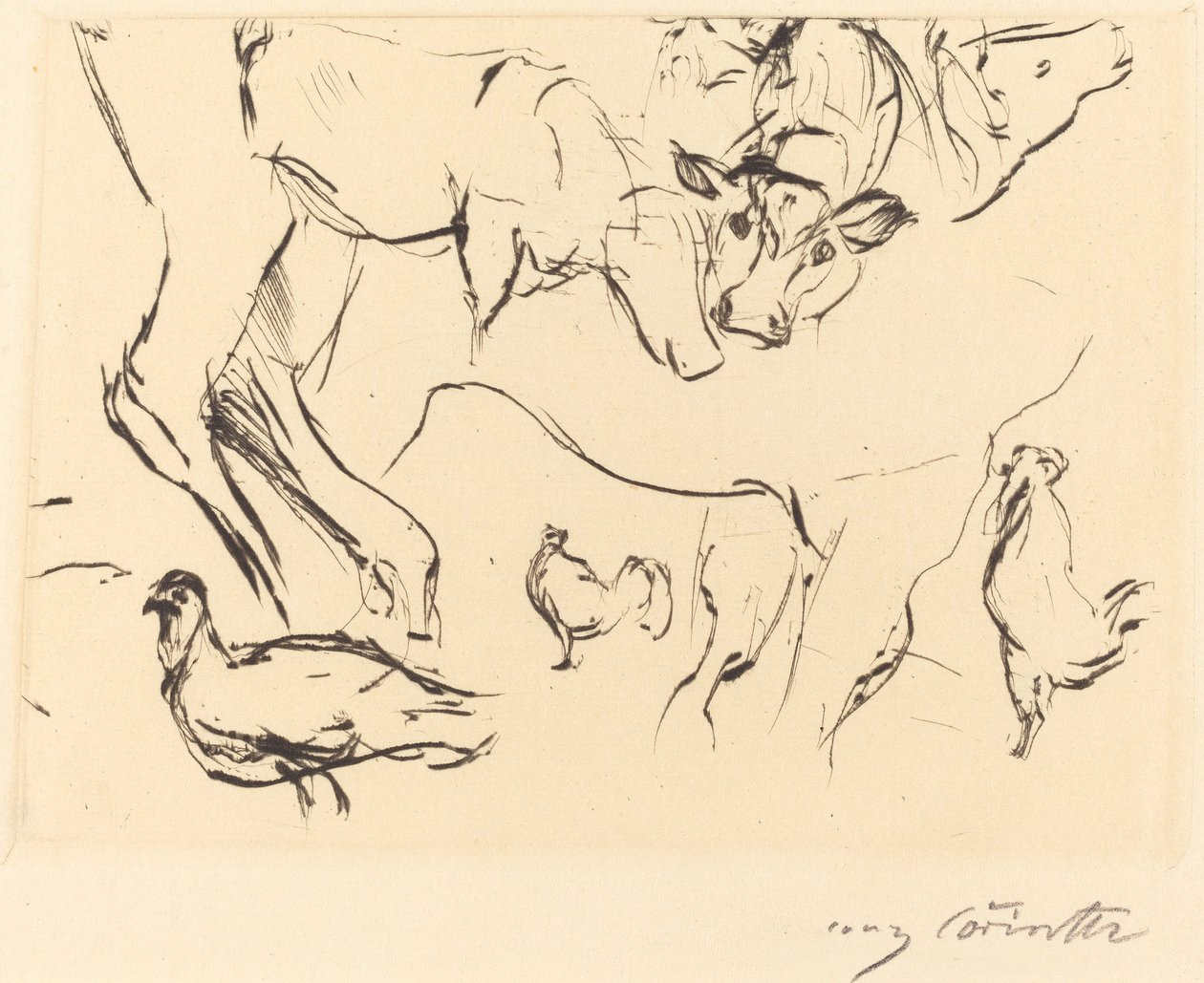 Olika djurstudier av Lovis Corinth