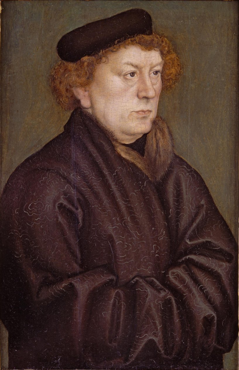 Porträtt av en forskare av Lucas Cranach the Elder