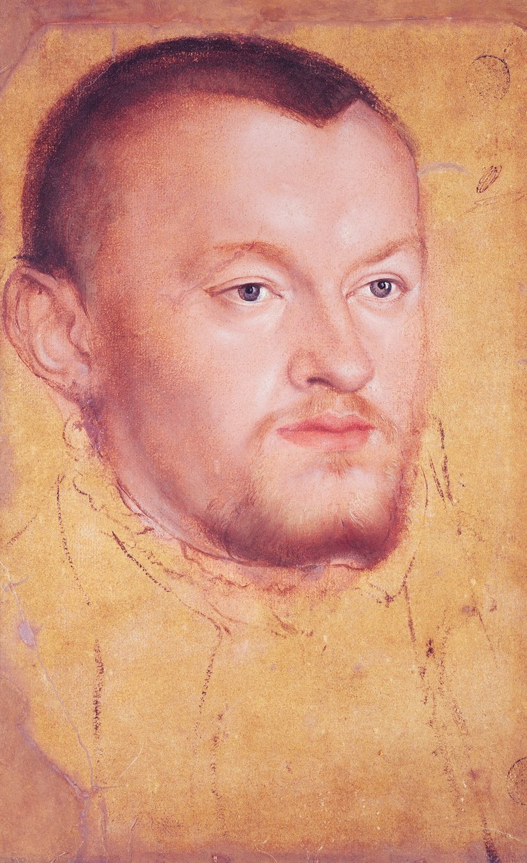 Porträtt av Augustus I (1526-86) Kurfursten av Sachsen (olja, gouache och wc på papper) av Lucas Cranach the Younger