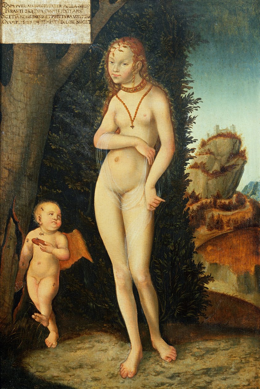 Okänd bild av Lucas Cranach