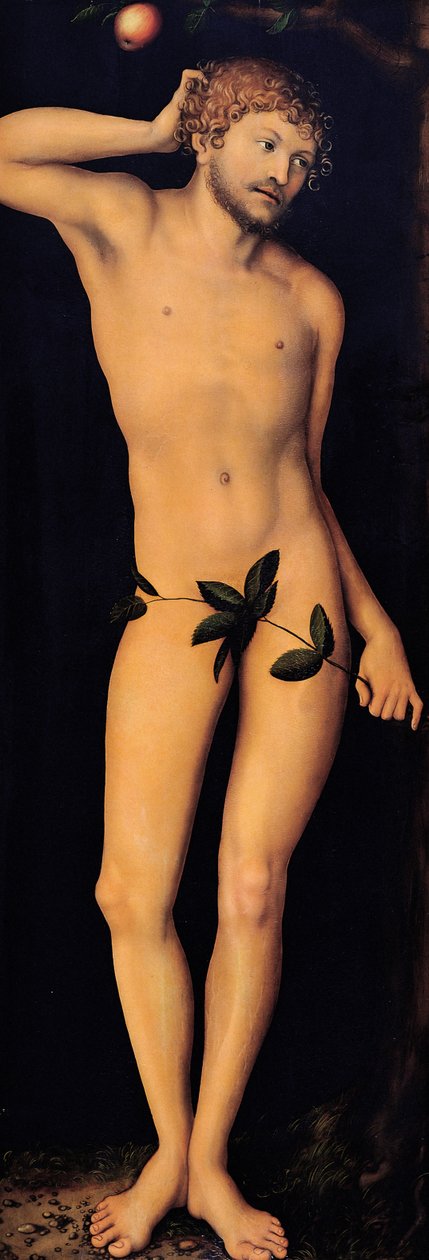 Adam, 1528. av Lucas Cranach the Elder