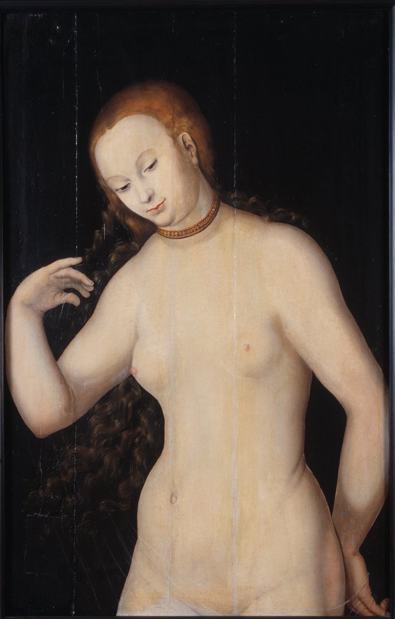 Venus, mellan 1527 och 1531. av Lucas Cranach the Elder