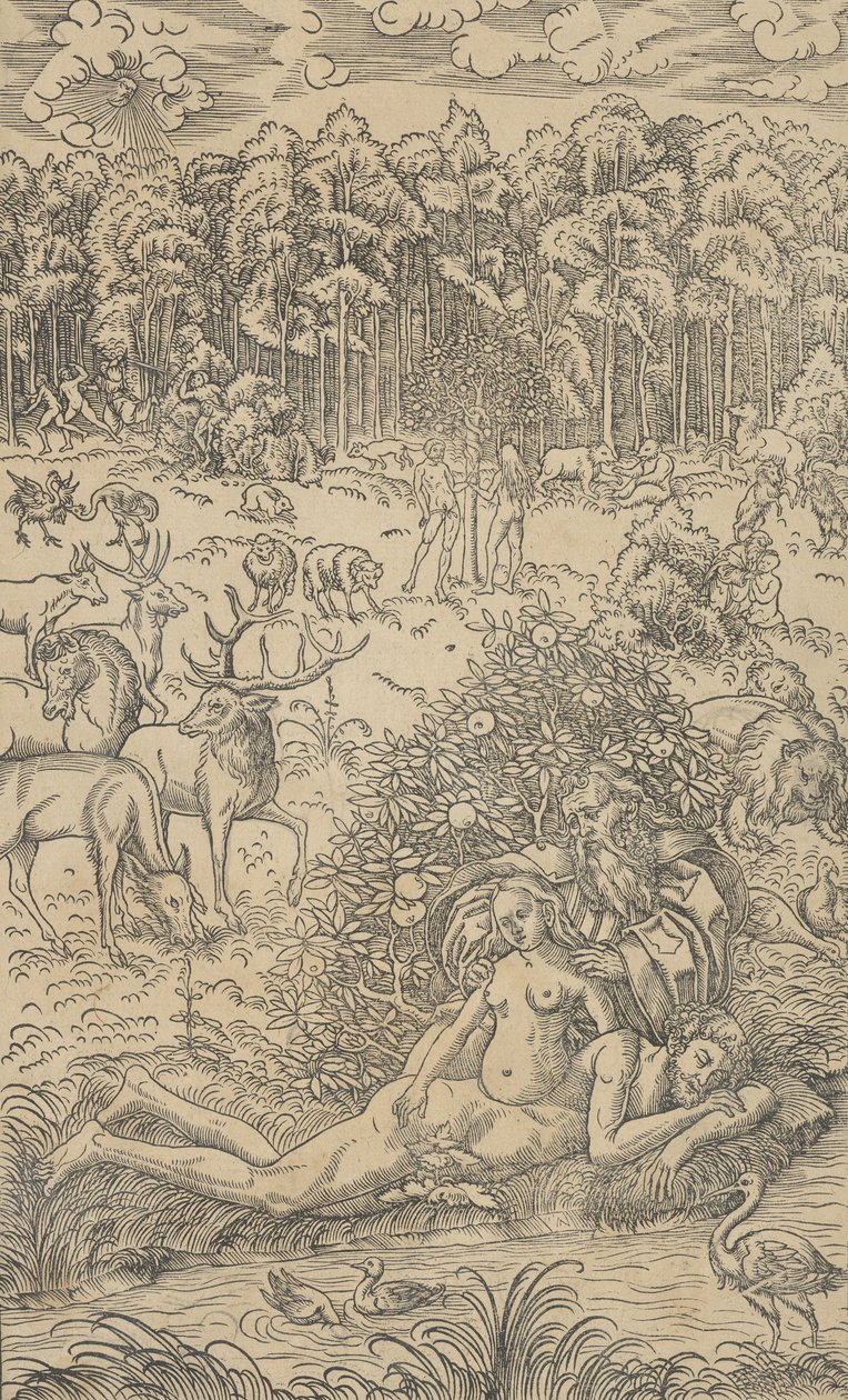 Evas skapelse av Lucas Cranach the Younger  