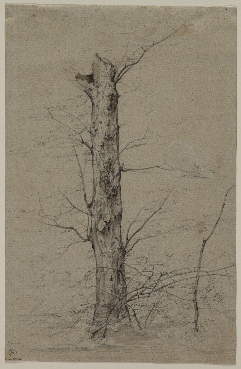 Träd, c. 1835-45. av Ludwig Ferdinand Schnorr von Carolsfeld