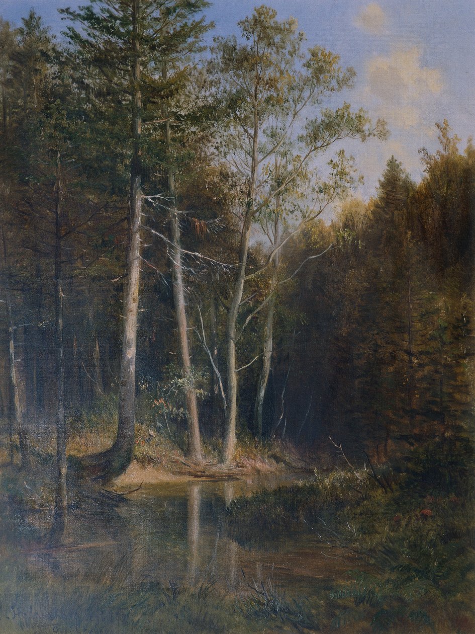 Skogsområde på hovberget nära Kaumberg av Ludwig Halauska