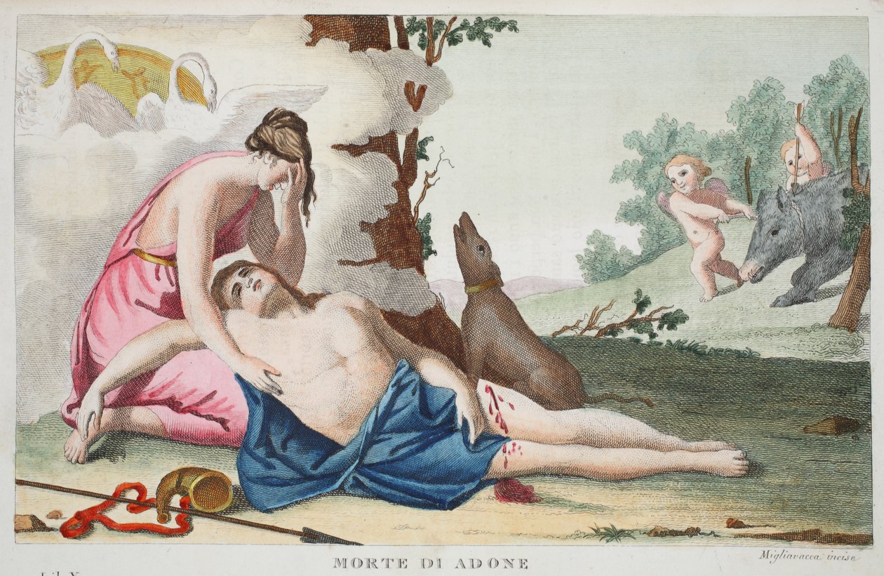 Adonis eller Morte di Adones död, bok X, illustration från Ovidius