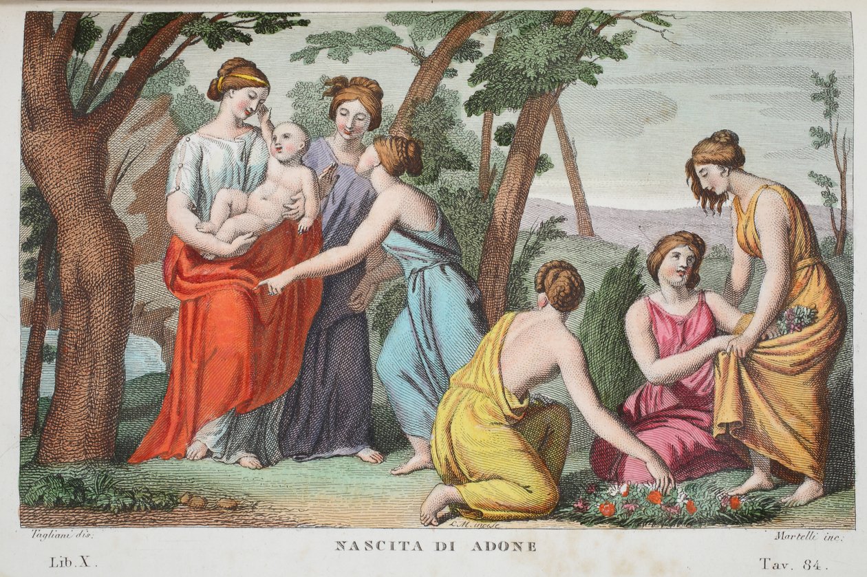 Adonis eller Nascita di Adones födelse, bok X, illustration från Ovidius