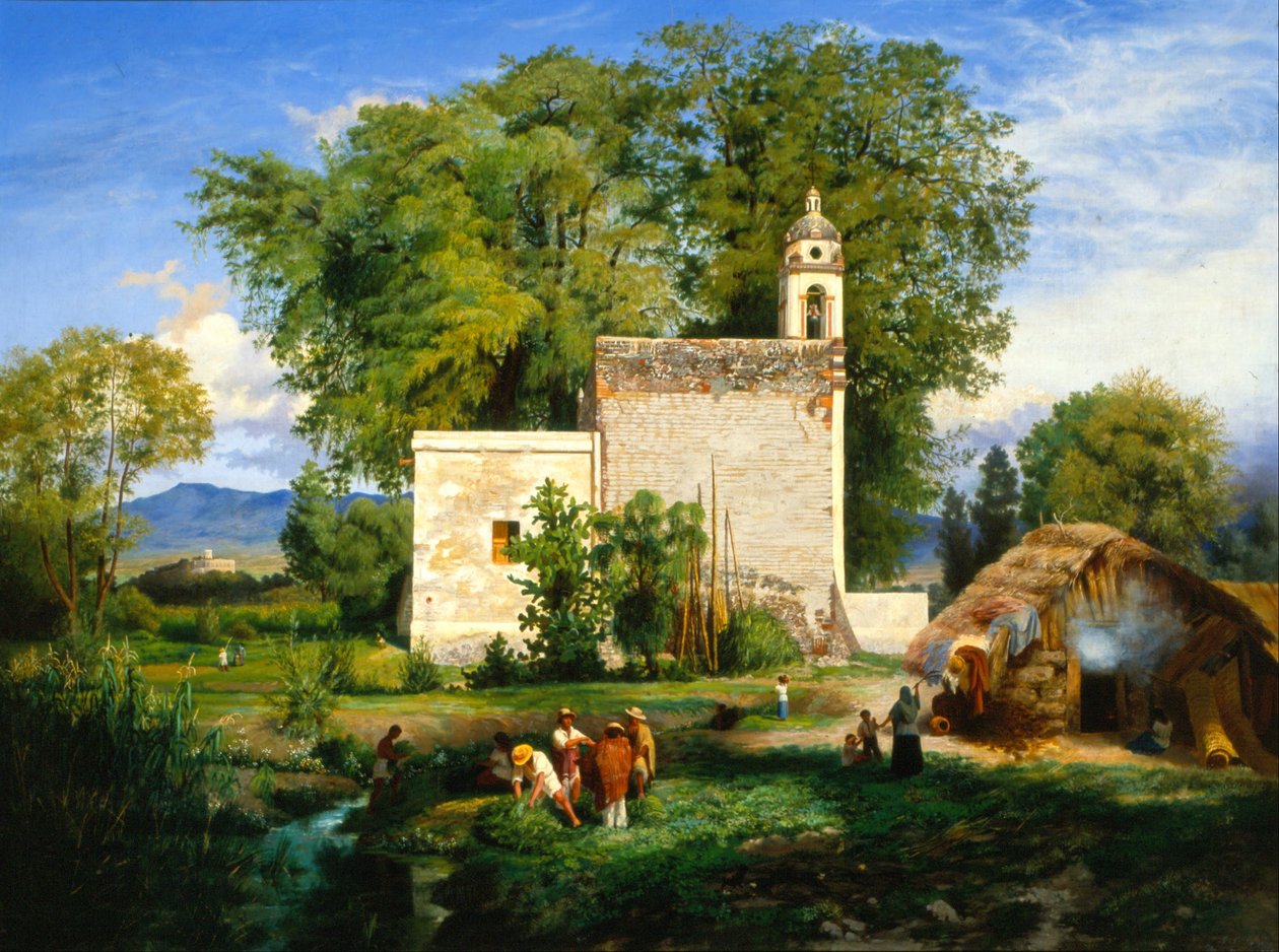 Landscape of San Cristóbal Romita av Luis Coto