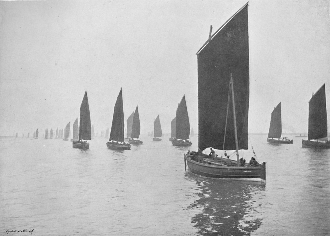 Sillbåtar utanför Tyne, c1896 av M. Aunty