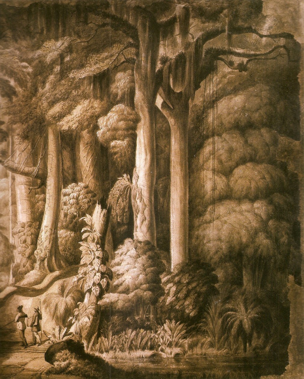 Brazilian forest detail av Manuel Araújo de Porto Alegre