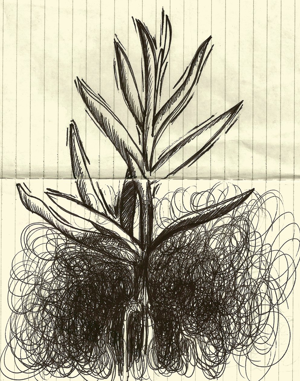 Plant, 2014 (tusch på papper) av Marco Campedelli