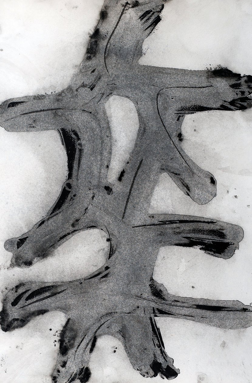 Ramas, 2014 (bläck på papper) av Marco Campedelli