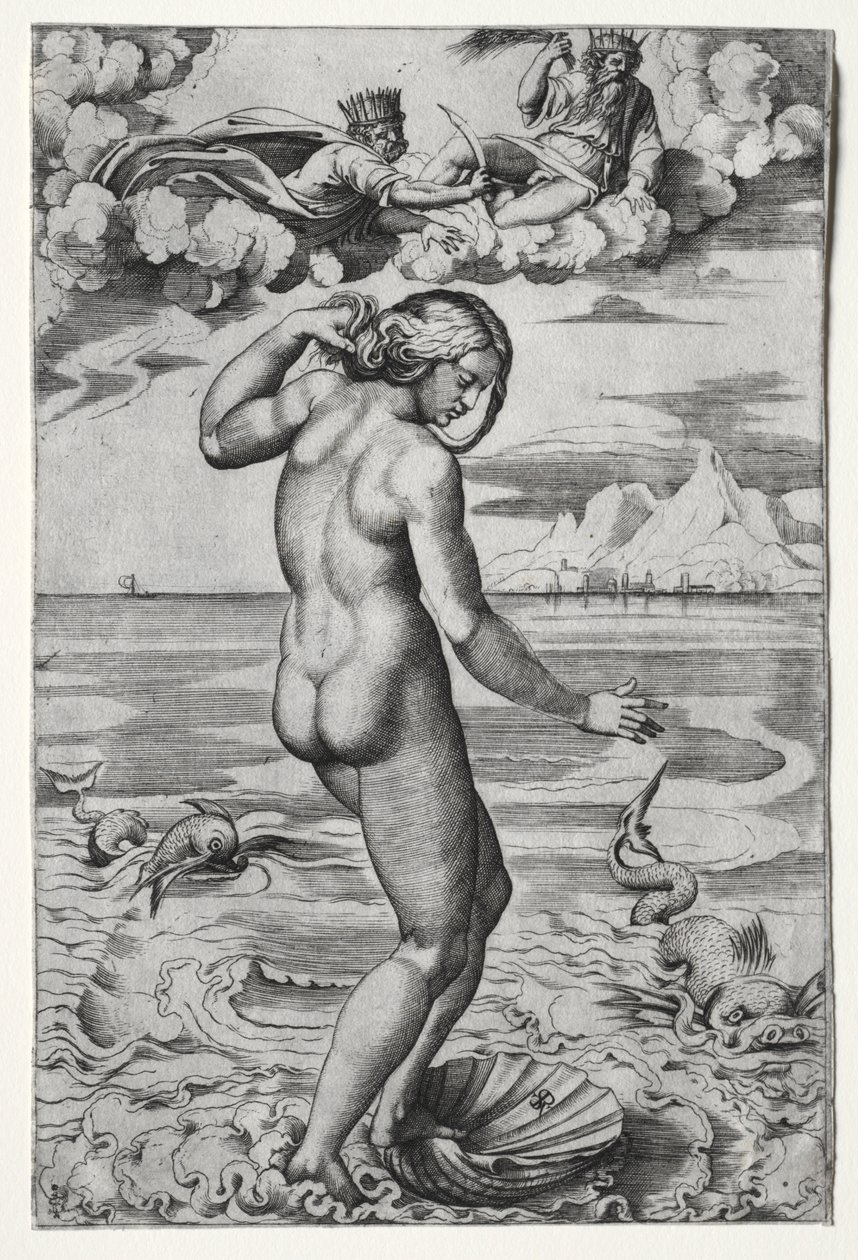 Venus födelse av Marco Dente