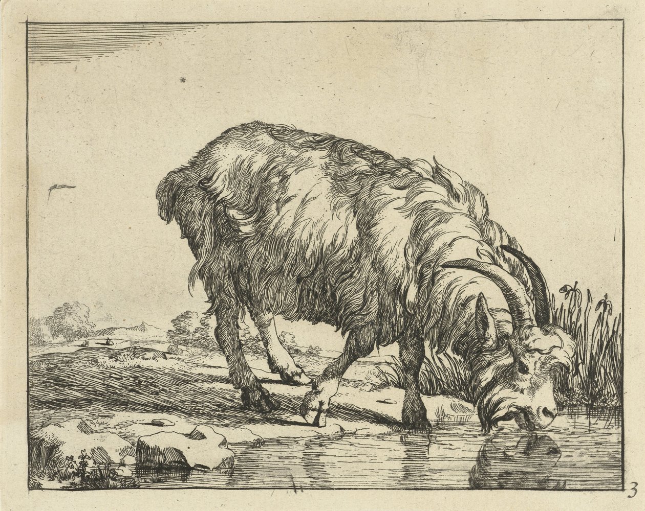 drickande get Goats and Bucks (serietitel) av Marcus de Bye