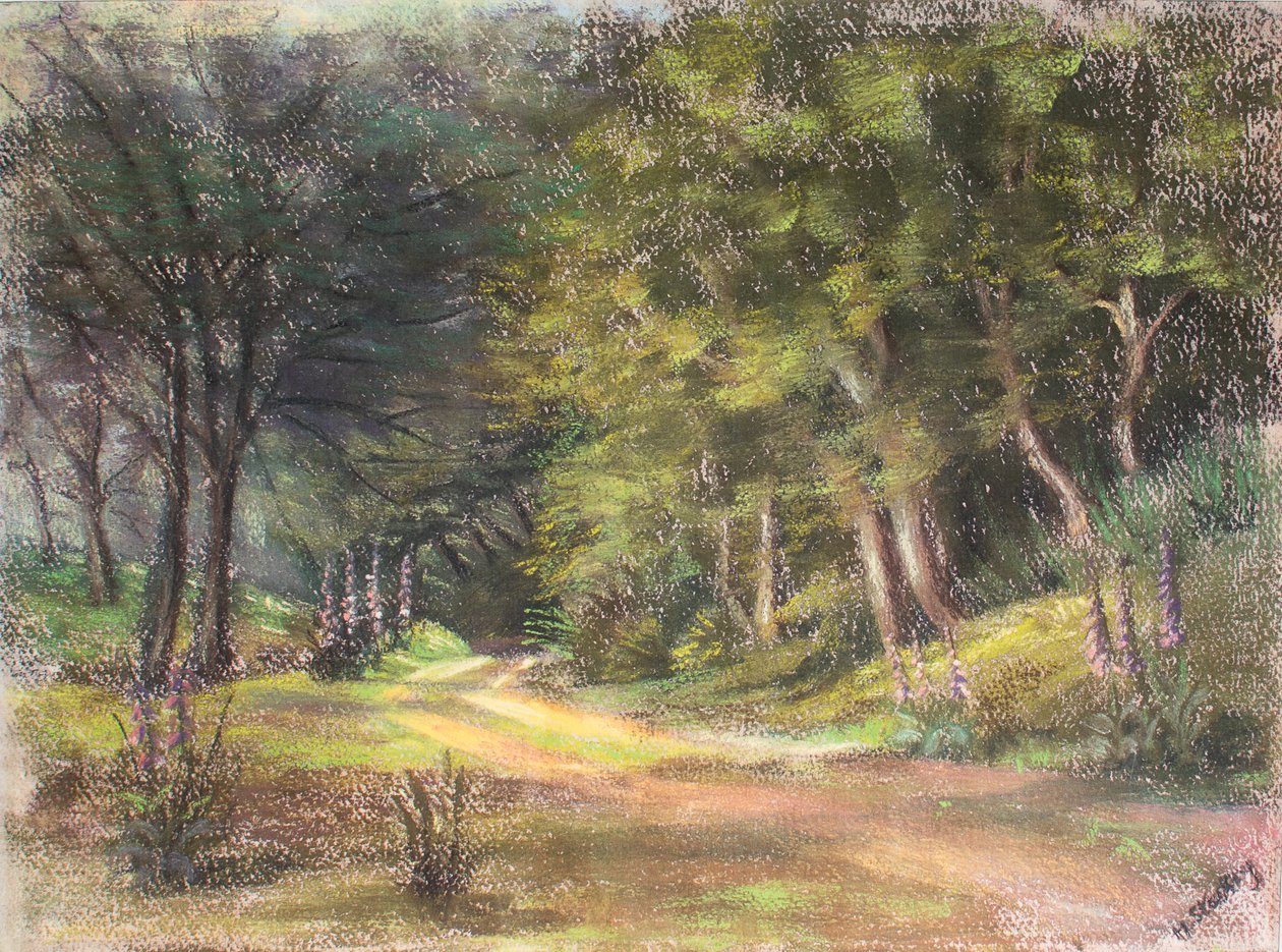 Walk in the Woods, Somerset, 1995 (pastell) av Margo Starkey