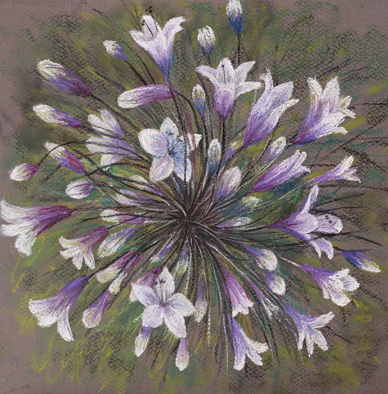 Allium-familjen, 2020 (pastell) av Margo Starkey