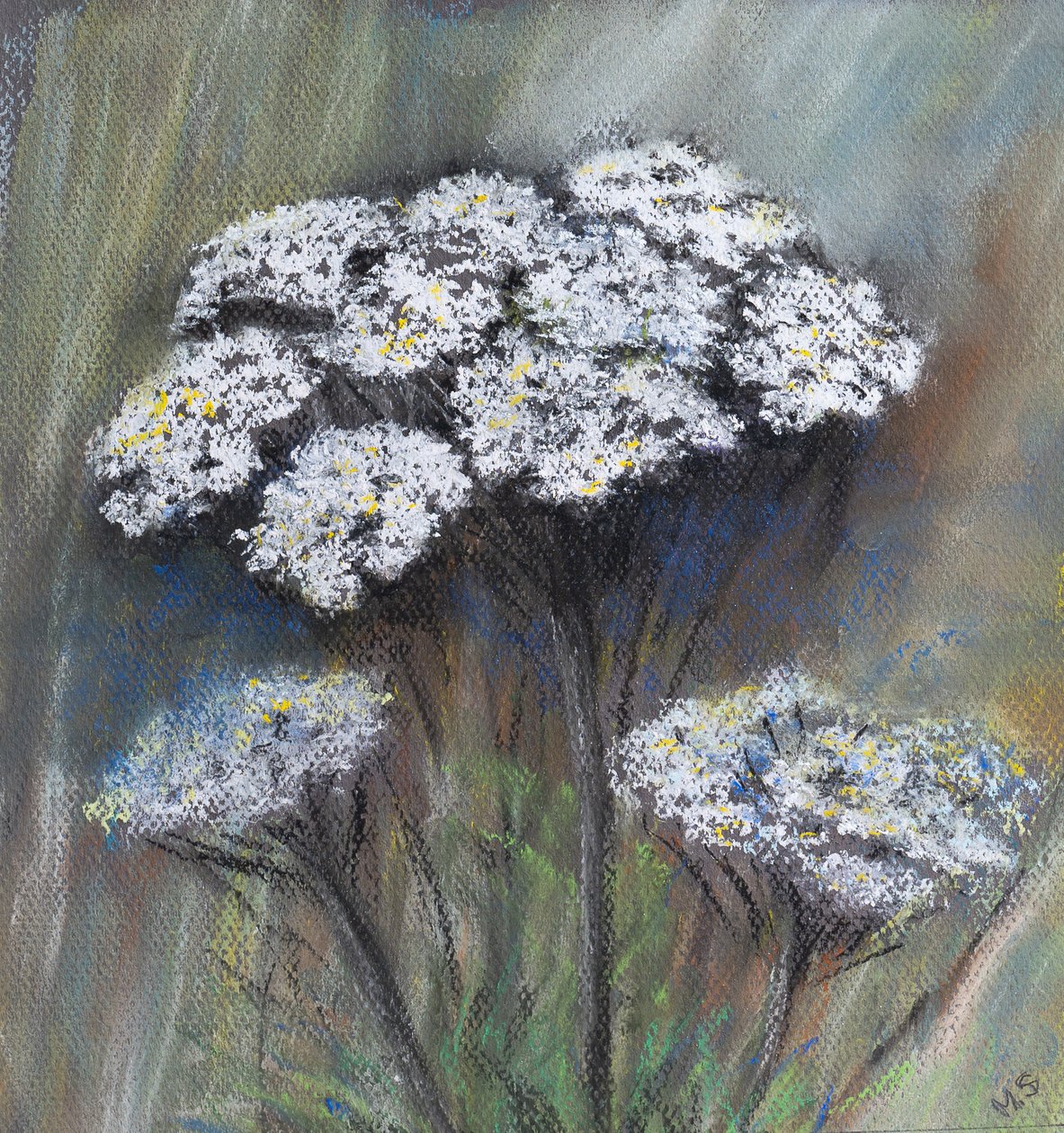 Kopersilja (Anthriscus Sylvestris), 2021 (pastell) av Margo Starkey