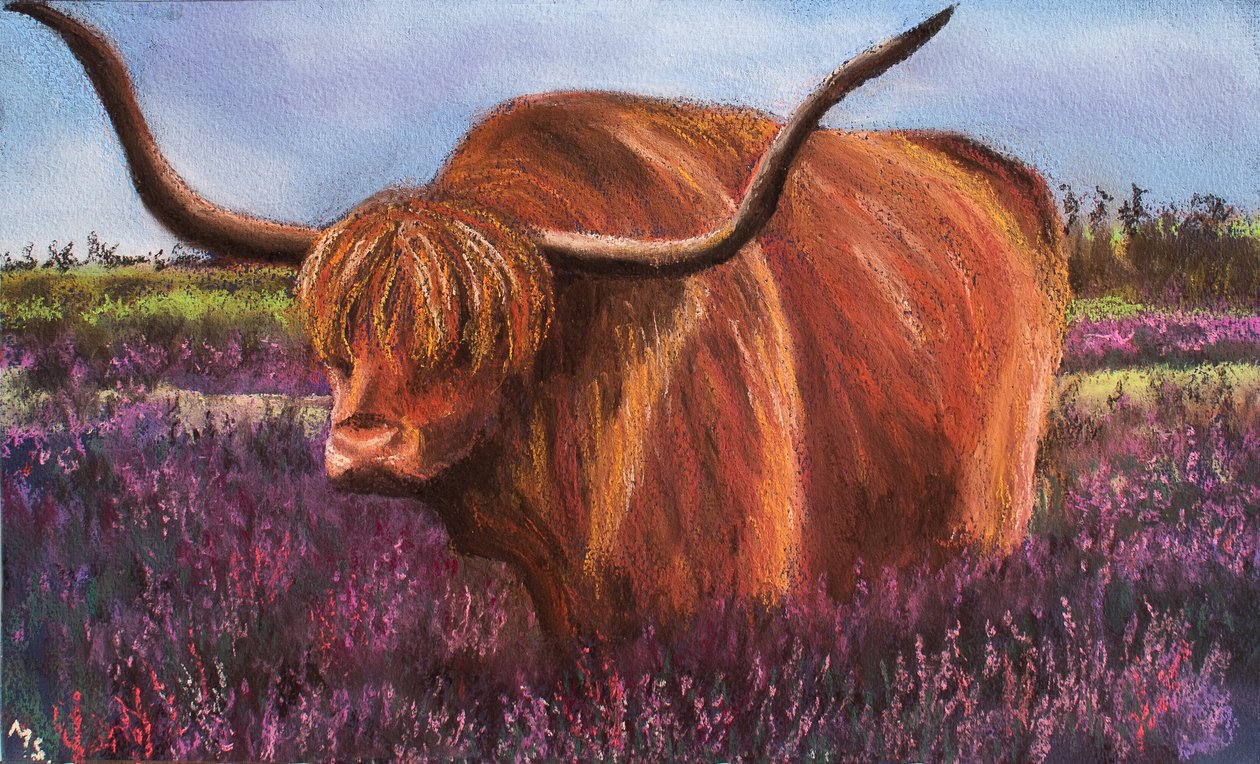 Highland Bull i Scottish Heather, 2018 (pastel) swed av Margo Starkey