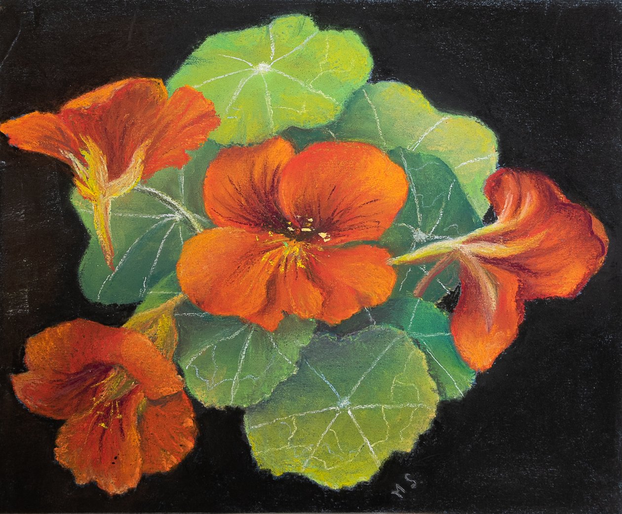 Nasturtiums, 2020 (pastell) av Margo Starkey