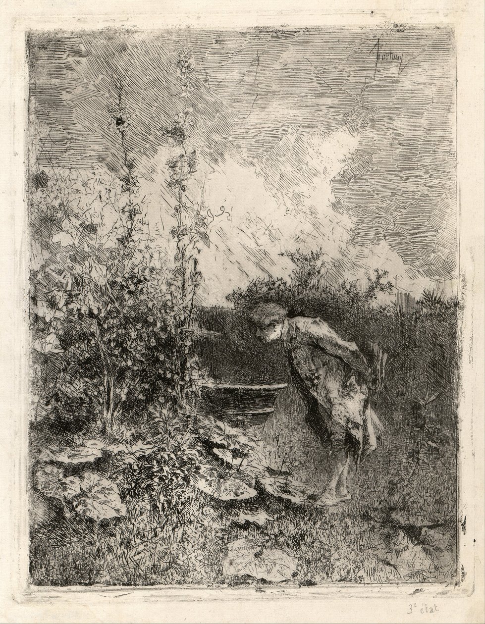 The Botanist av Marià Fortuny
