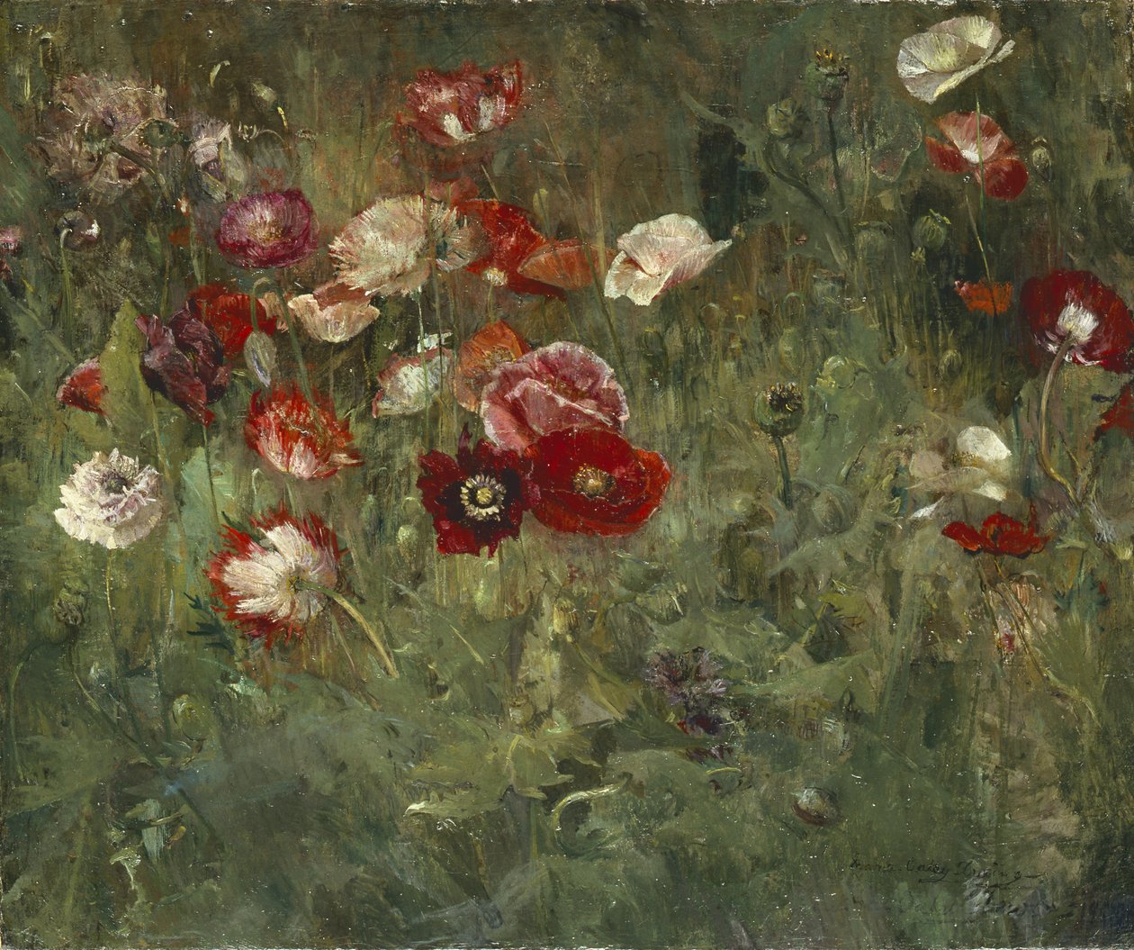 En bädd av vallmo, 1909 av Maria Oakey Dewing