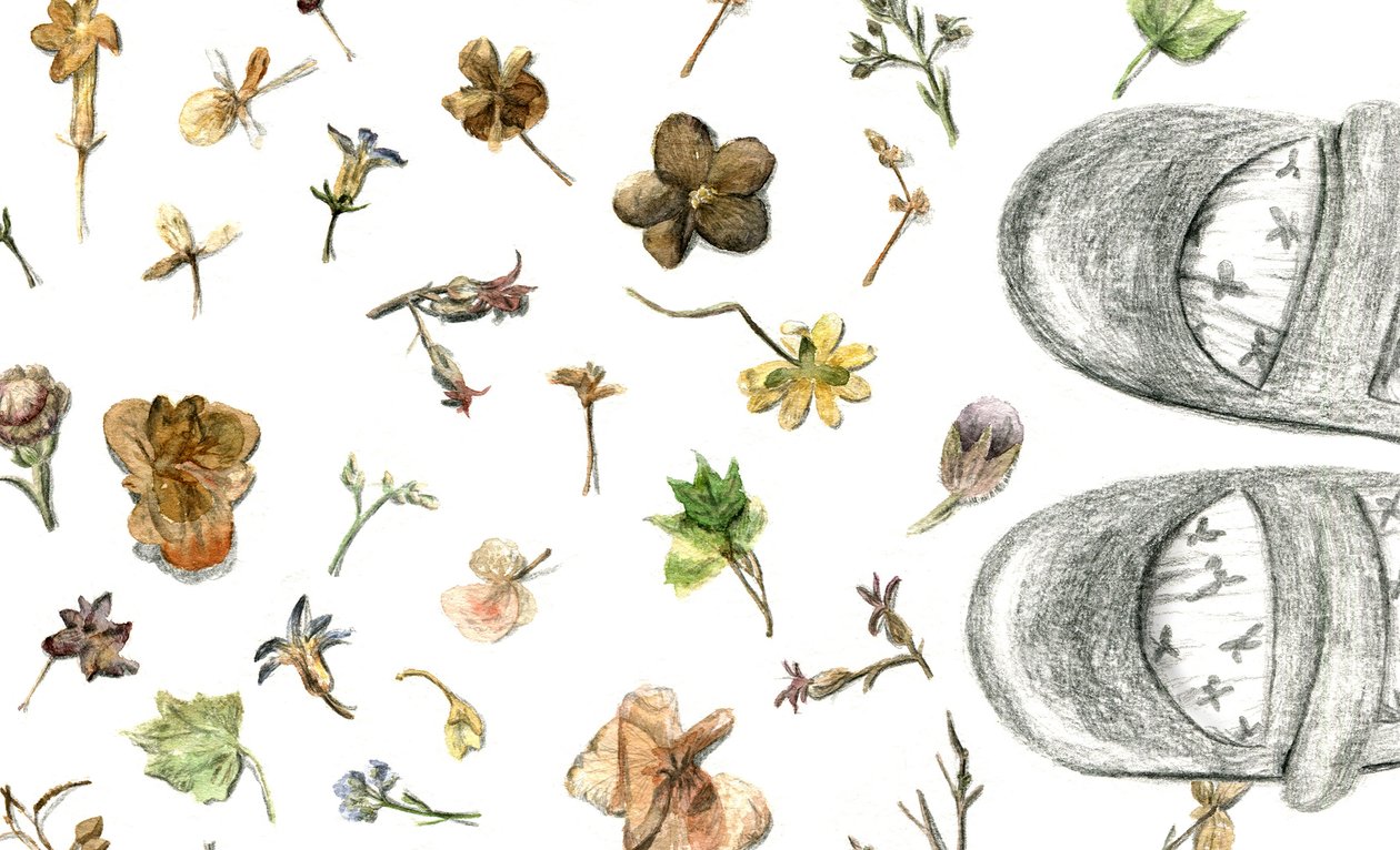 Pressade blommor, 2020 av Maria Basea