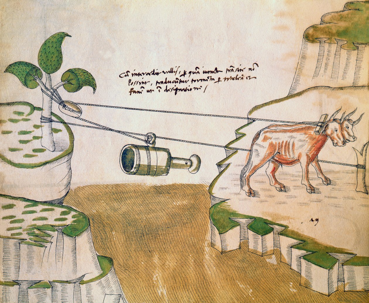 Oxar som ritar en remskiva, illustration från De Machinis (penna och bläck och wc på papper) av Mariano di Jacopo 1382 c.1453 after Mariano di Jacopo 1382 c.1453 after