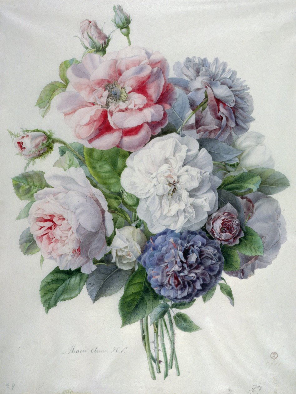 Blomma bitar av Marie Anne