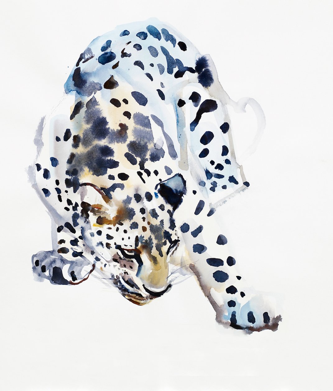 Arabisk leopard, 2008 av Mark Adlington