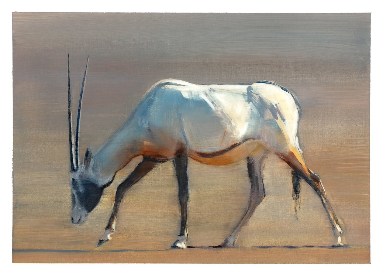 Arabian Oryx, 2010 (olja på papper) av Mark Adlington