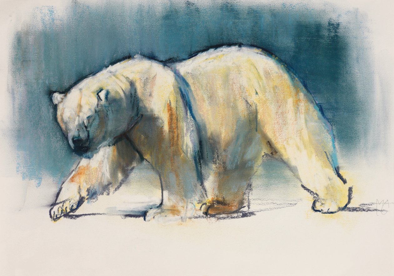 Arctic Light, 2017 av Mark Adlington