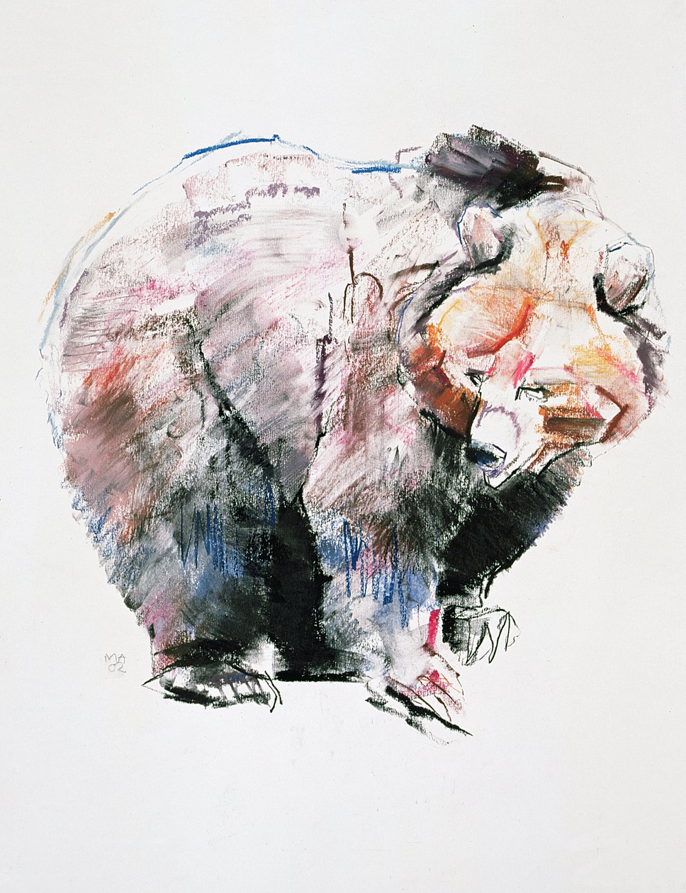 Björn (charcoal und conte på papper) av Mark Adlington