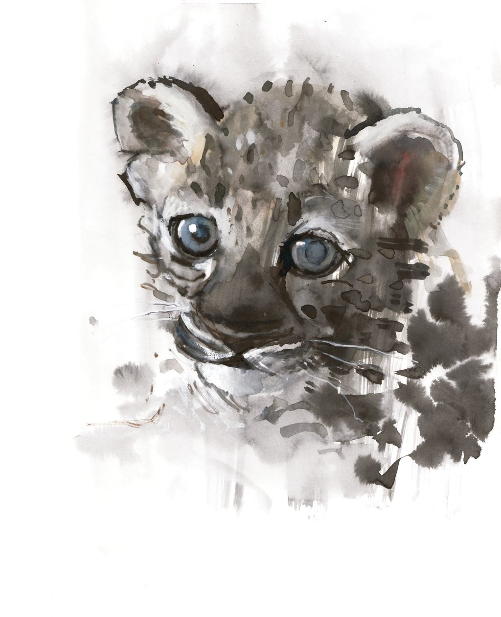 Blue Eyes (arabisk leopardunge), 2008 av Mark Adlington