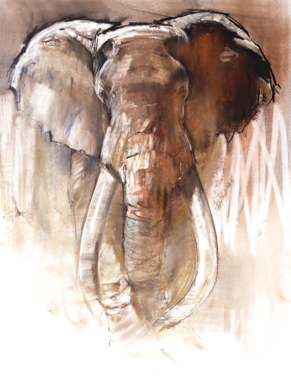 Bull Elephant, 2018 av Mark Adlington
