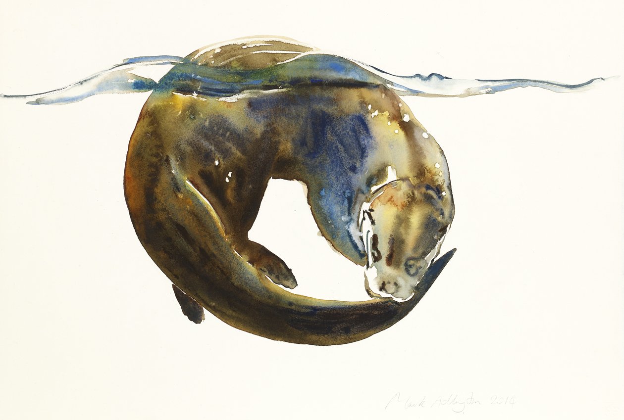 Circle of life, 2014, (akvarell på papper) av Mark Adlington
