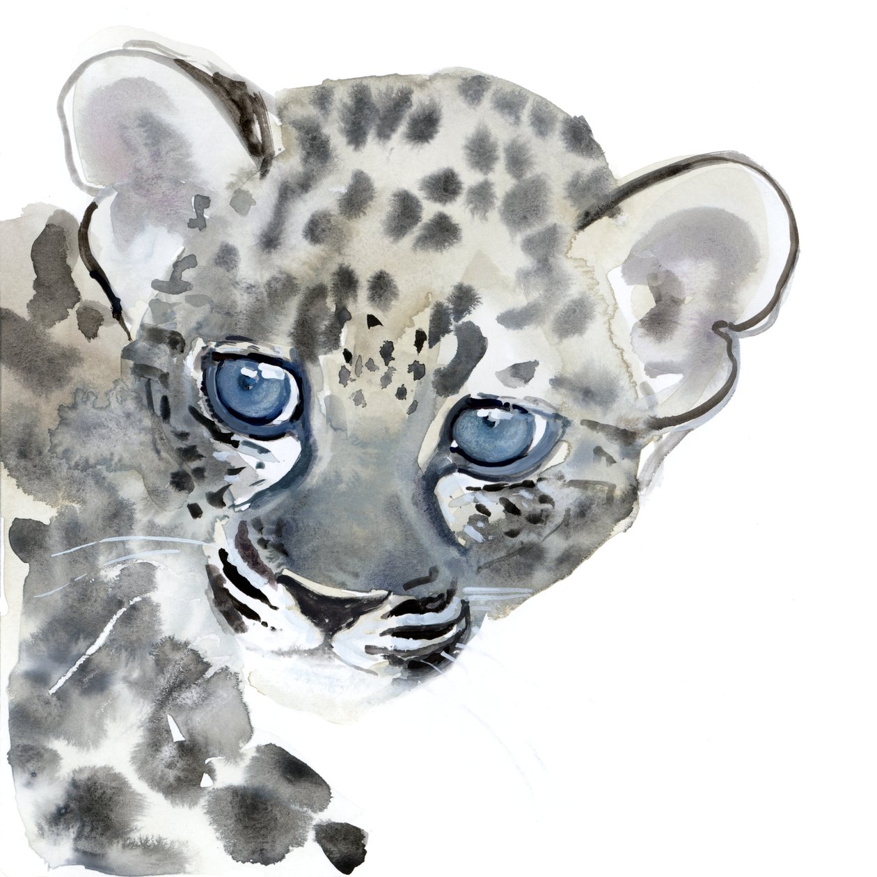 Cub, 2015, (akvarell på papper) av Mark Adlington