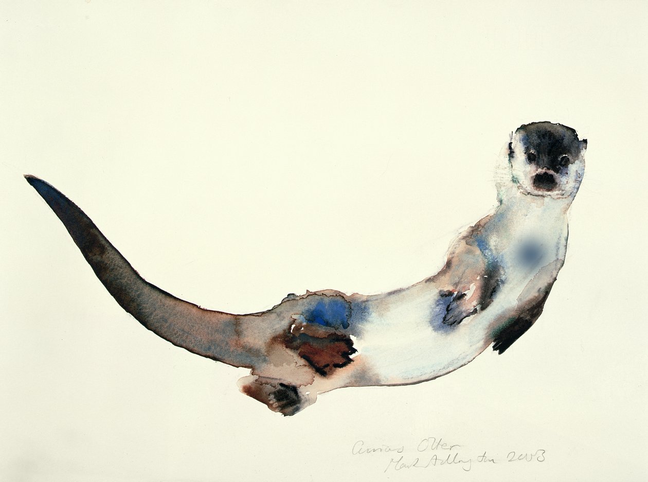 Nyfiken Otter, 2003 av Mark Adlington