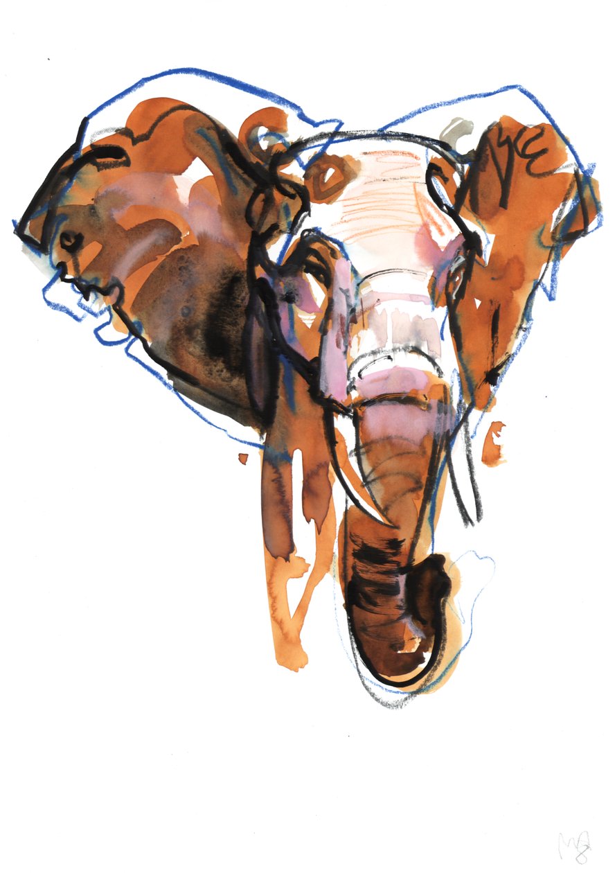 Elephant Head-studie, 2018 av Mark Adlington