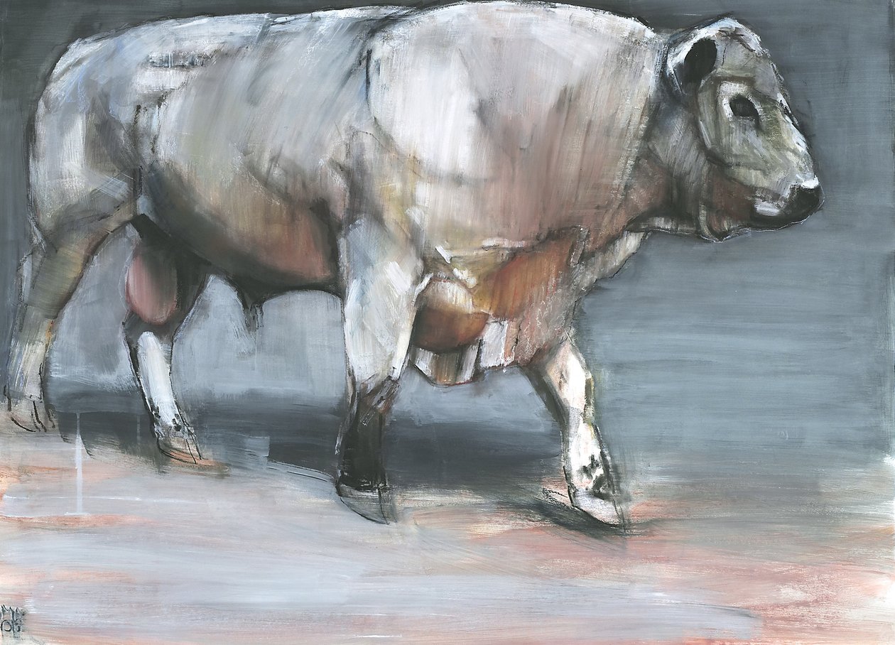 Fresno, Galloway Bull (blandteknik på papper) av Mark Adlington