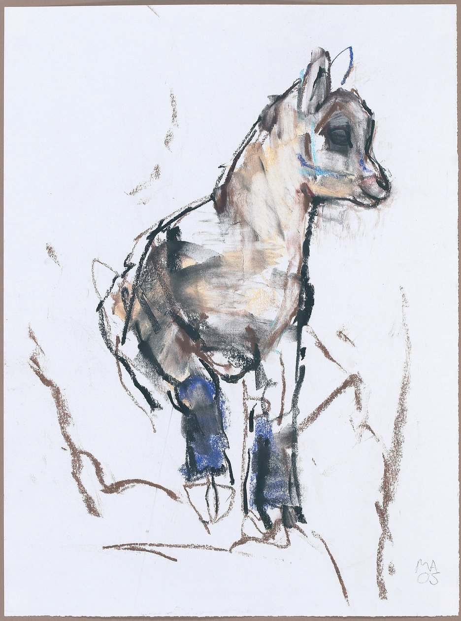 Ibex Kid (charcoal und conte på papper) av Mark Adlington