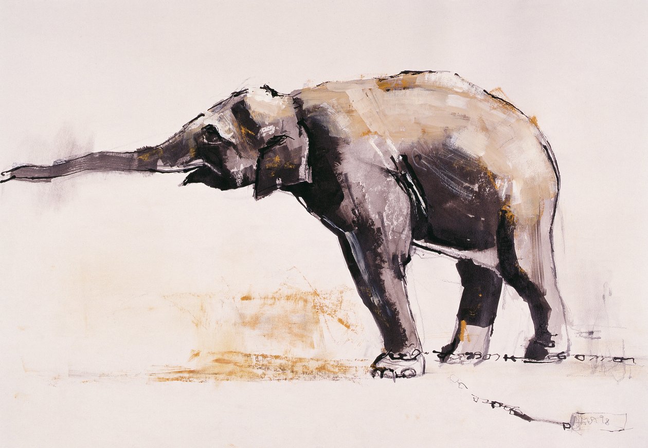 Indisk elefant, Khana (blandad media på papper) av Mark Adlington